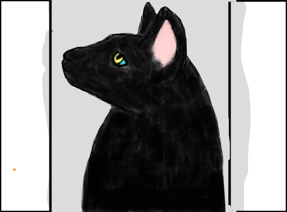 ...a cat...
