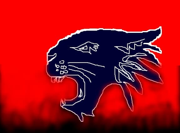 wildcats