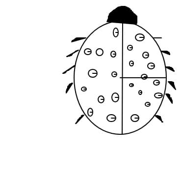 bubug