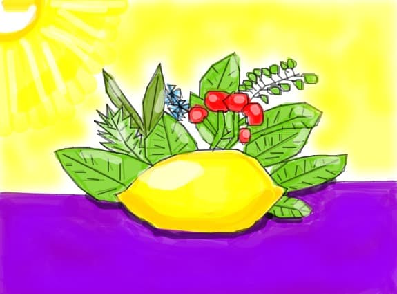 lamaie si plante