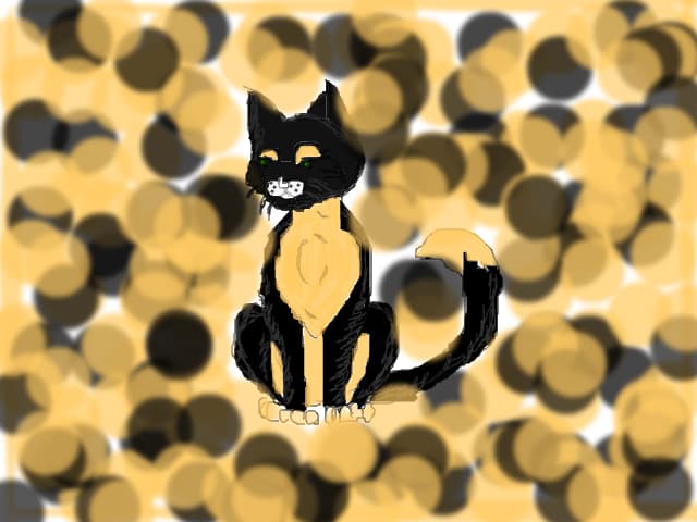 kitkat