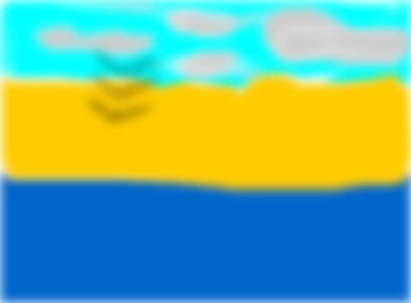 peisaj