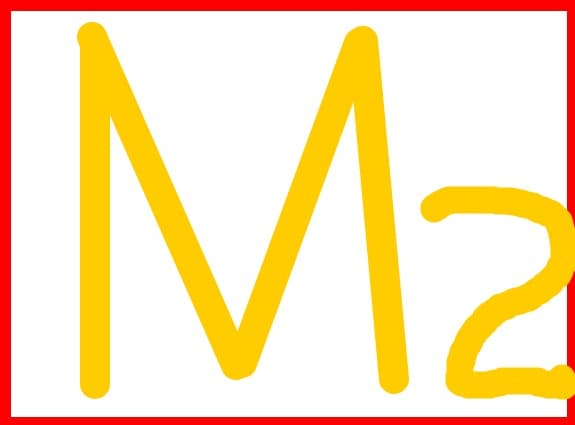 m 2