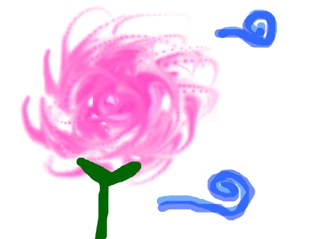 the rose garden
