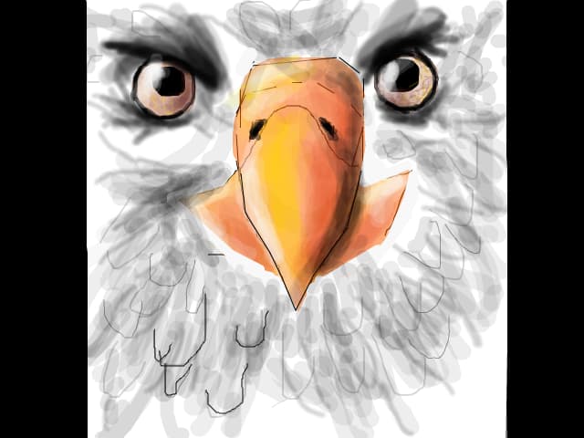 Eagle