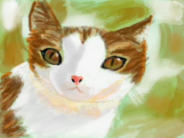Pretty Kitty