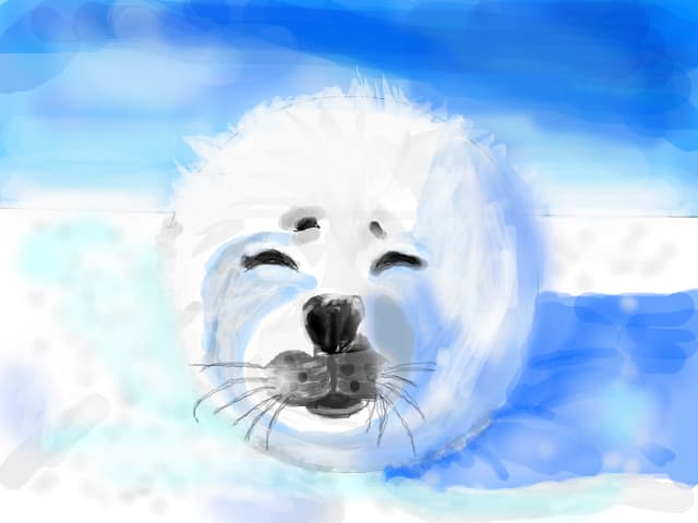 live in snow 4ever