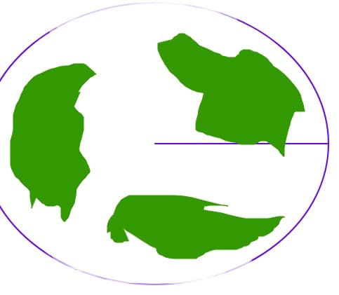 Planeta Pamant