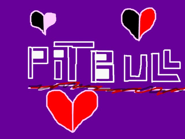 Pitbull