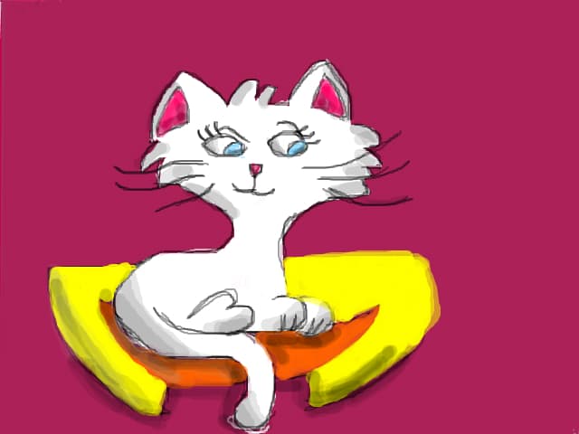cute cat