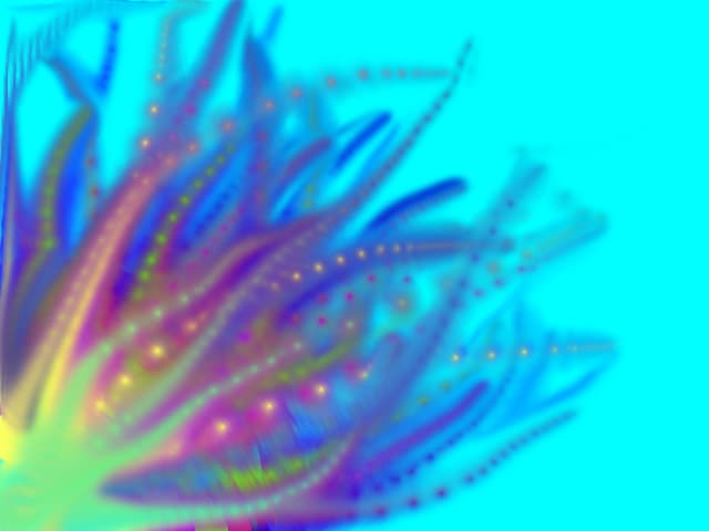 artificii