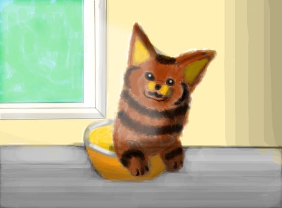dog