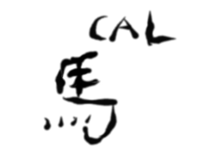 cal in chineza