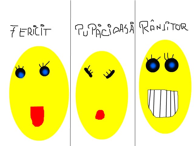 fericit,pupacios,ranjitor