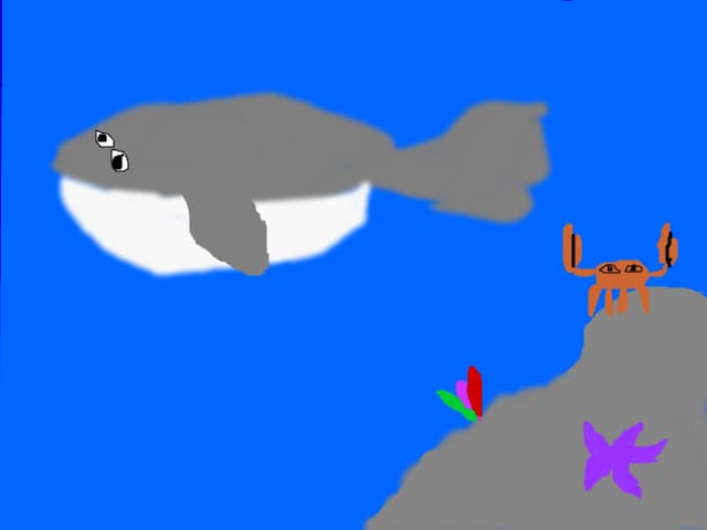 the sea
