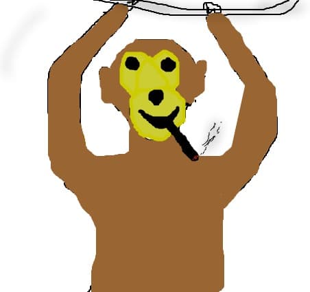 maimuta