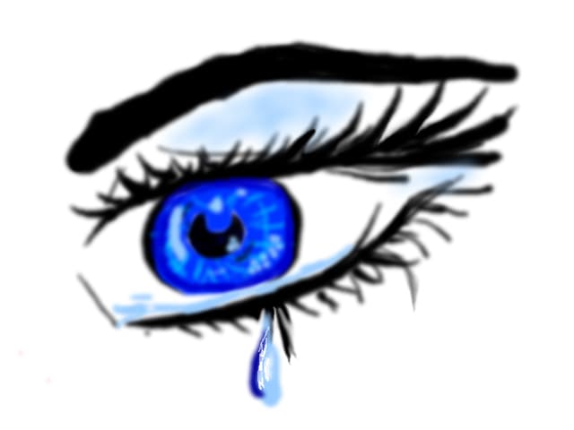 eye