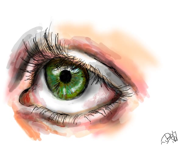 eye