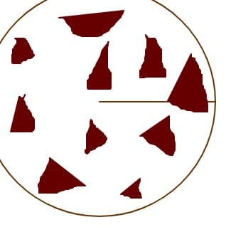 Biscuite