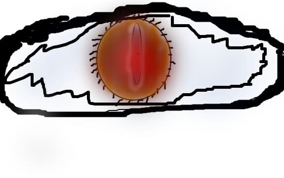 asdasdasd
