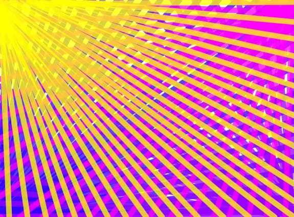 dungi