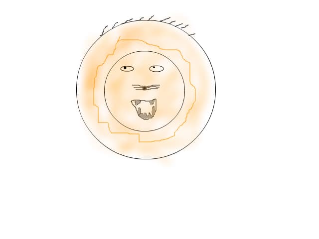 un leu