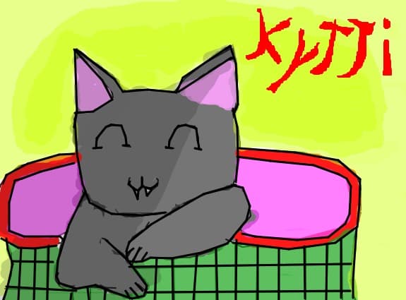 kitty