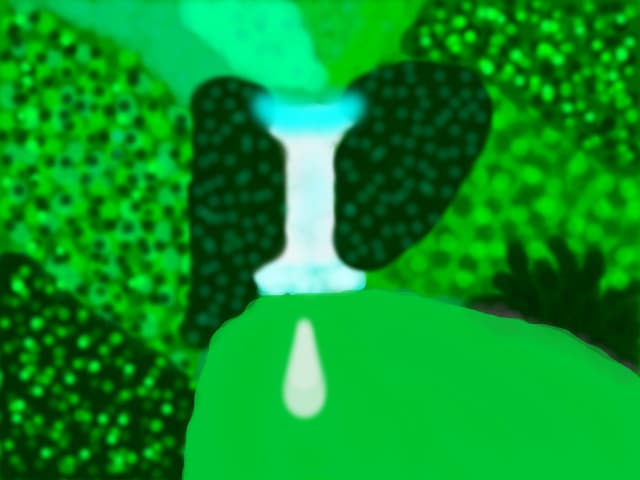 cascada