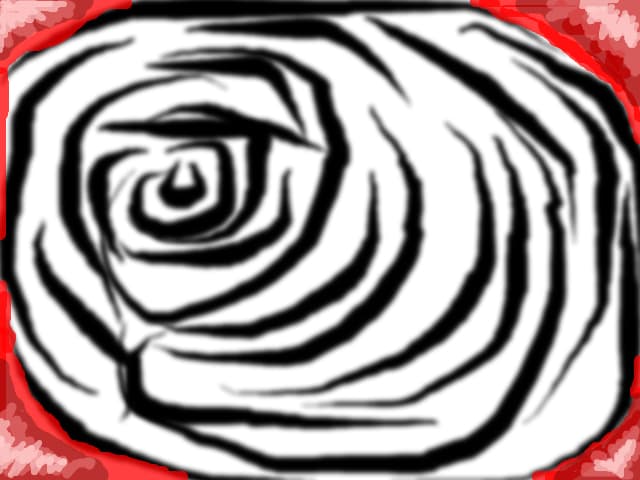 white rose