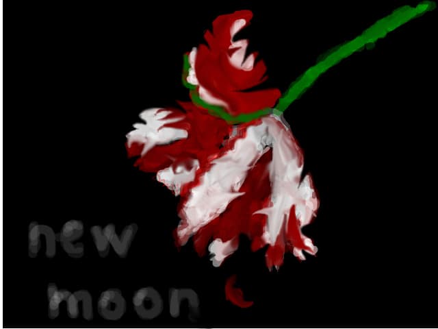 new moon