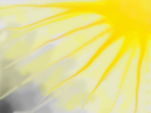 The light is everithing