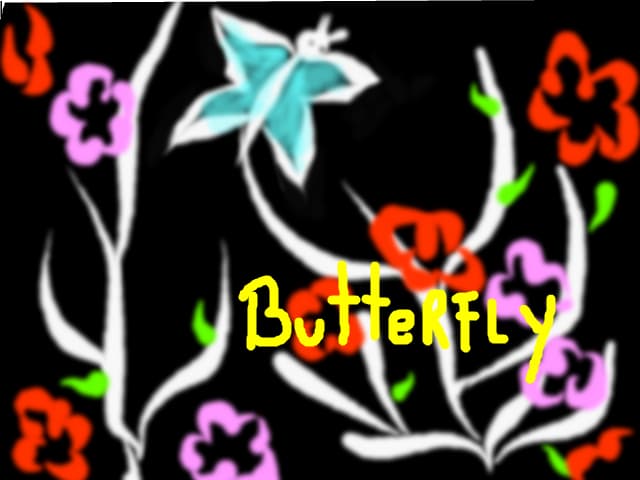 Butterfly