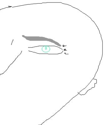 pshihopat