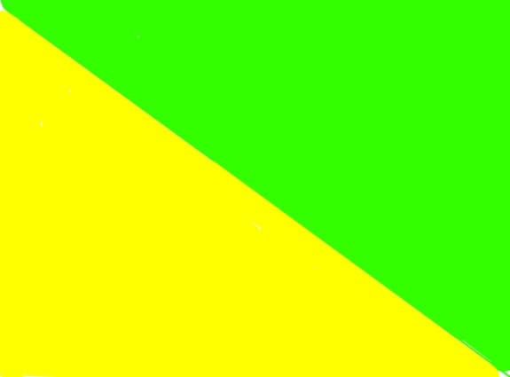 steaua