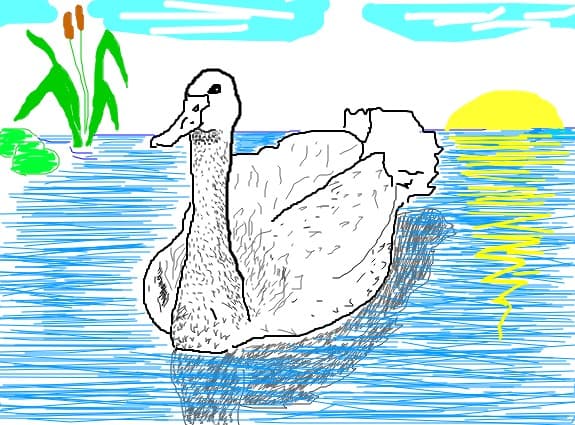ratza pe lac (desen de george ionescu)