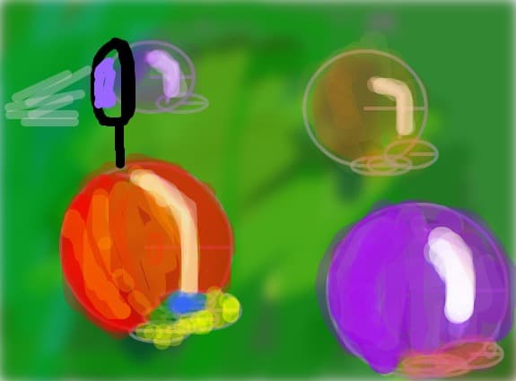 balonase buclucase