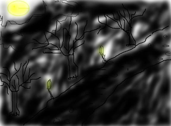 lumina in intuneric
