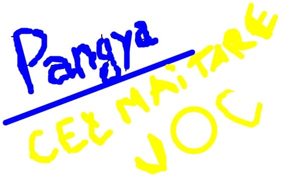 anaion49@yahoo.com