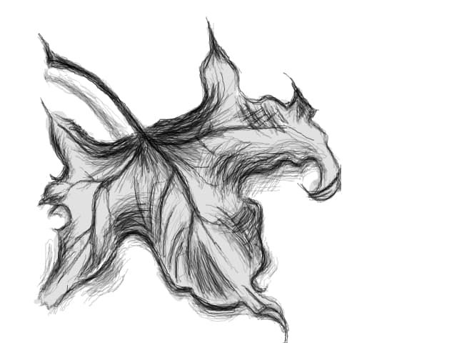 Little Leaf
