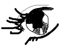eye again :)