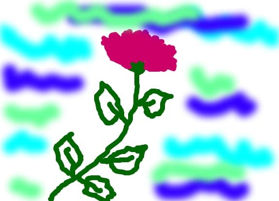 o floare