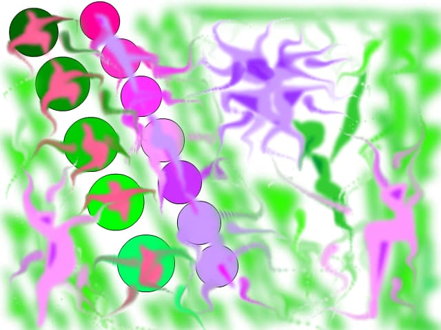 CoLOr