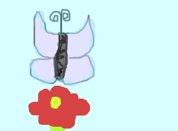 fluture si floare