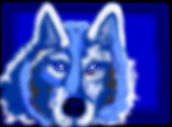 wolfy