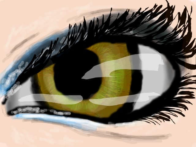 Eye