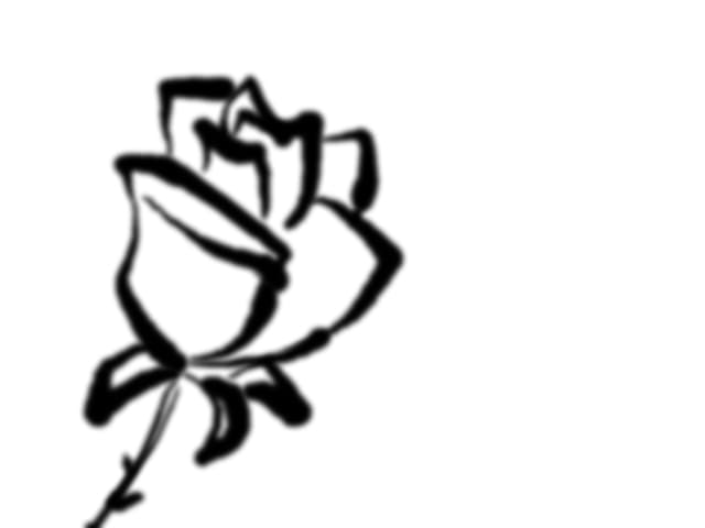 rose