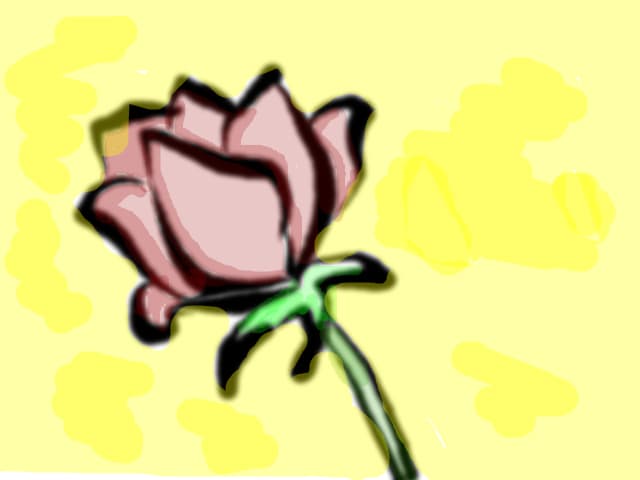 rose