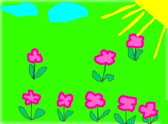 campiia de flori
