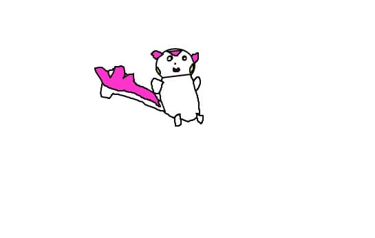 pachirisu