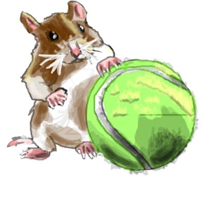 hamster ball